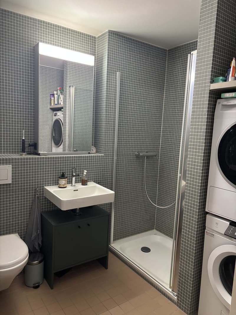 3 ½ Zimmer-Wohnung, 8032 Zürich (8)