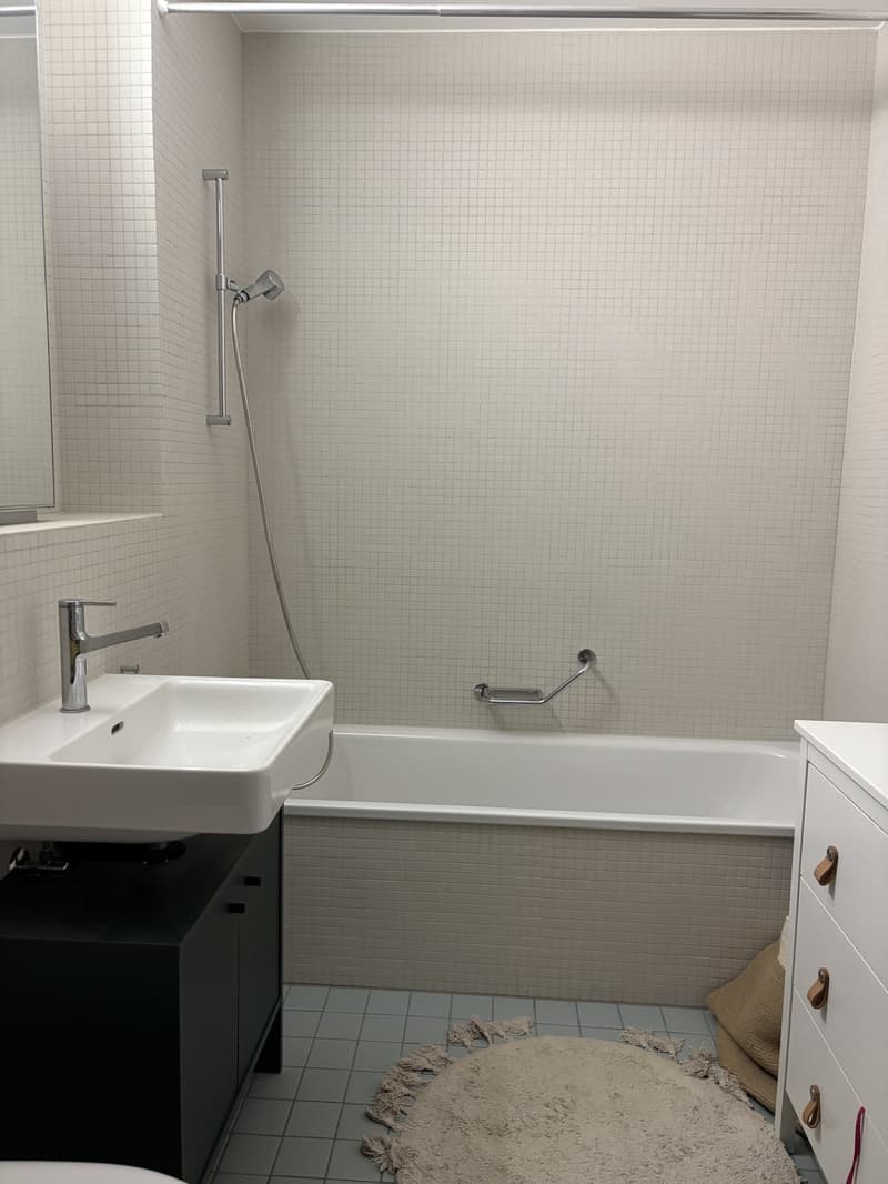 3 ½ Zimmer-Wohnung, 8032 Zürich (5)