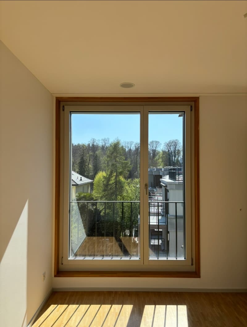 3 ½ Zimmer-Wohnung, 8032 Zürich (2)