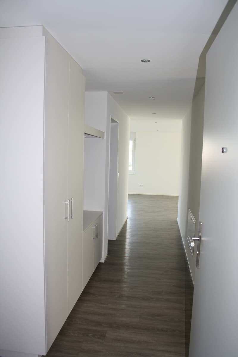4.5-Zi-Wohnung mit Eigentumsstandard in Niederbüren (2)