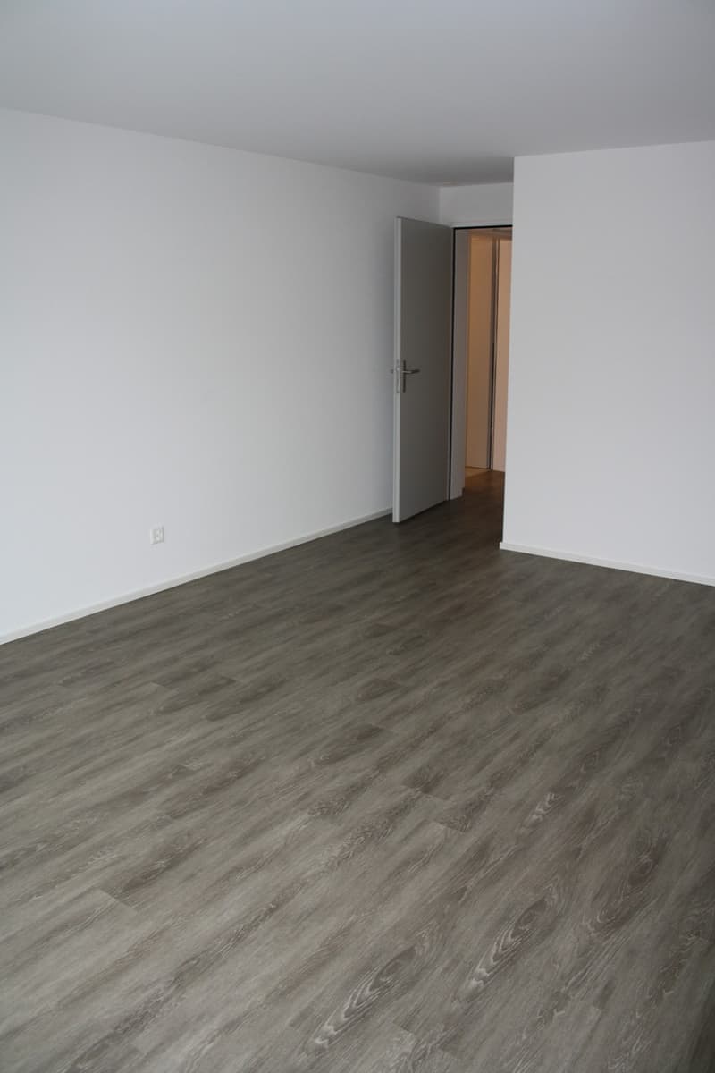 4.5-Zi-Wohnung mit Eigentumsstandard in Niederbüren (6)