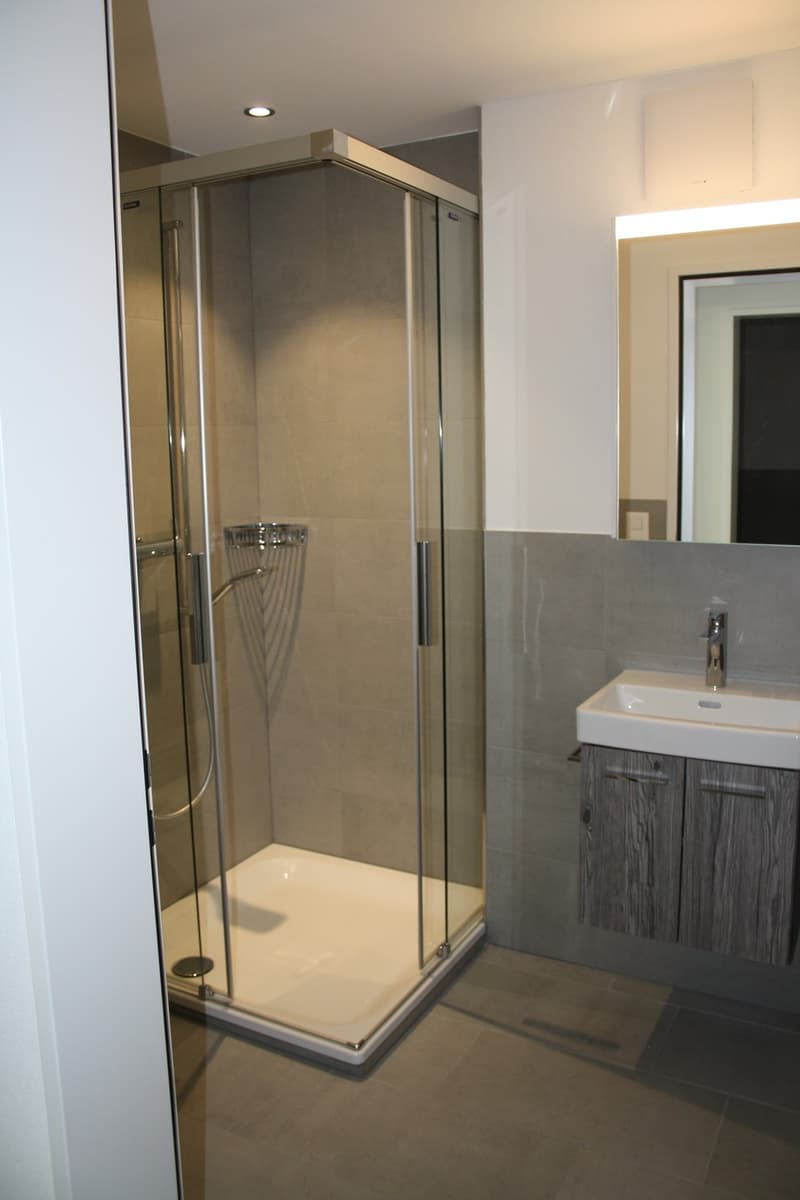 4.5-Zi-Wohnung mit Eigentumsstandard in Niederbüren (3)