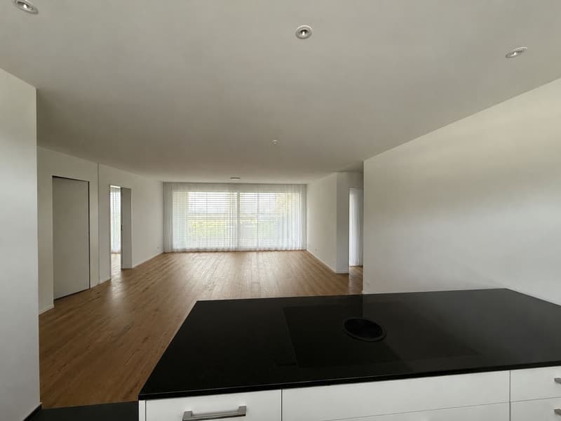 Moderne 4.5-Zimmer-Wohnung im EG Neubau in Roggwil BE (2)