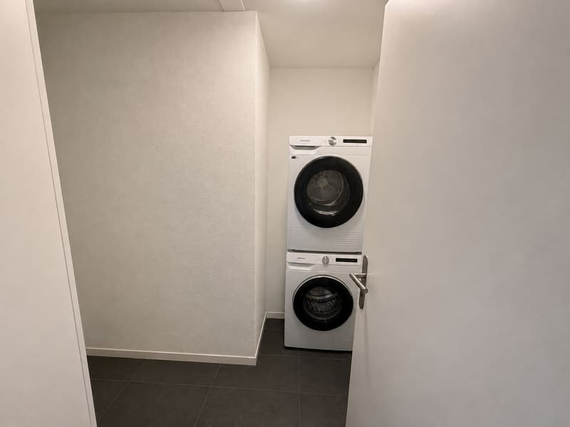 Moderne 4.5-Zimmer-Wohnung im EG Neubau in Roggwil BE (6)