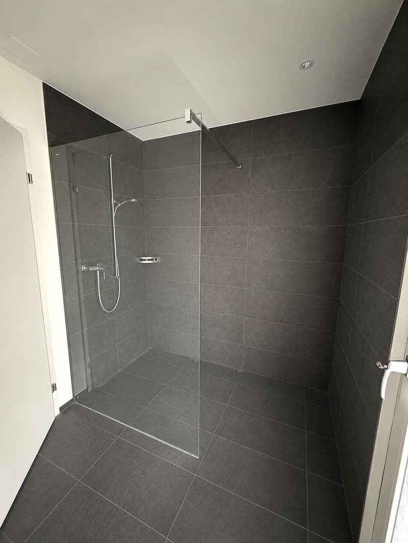 Moderne 4.5-Zimmer-Wohnung im EG Neubau in Roggwil BE (3)