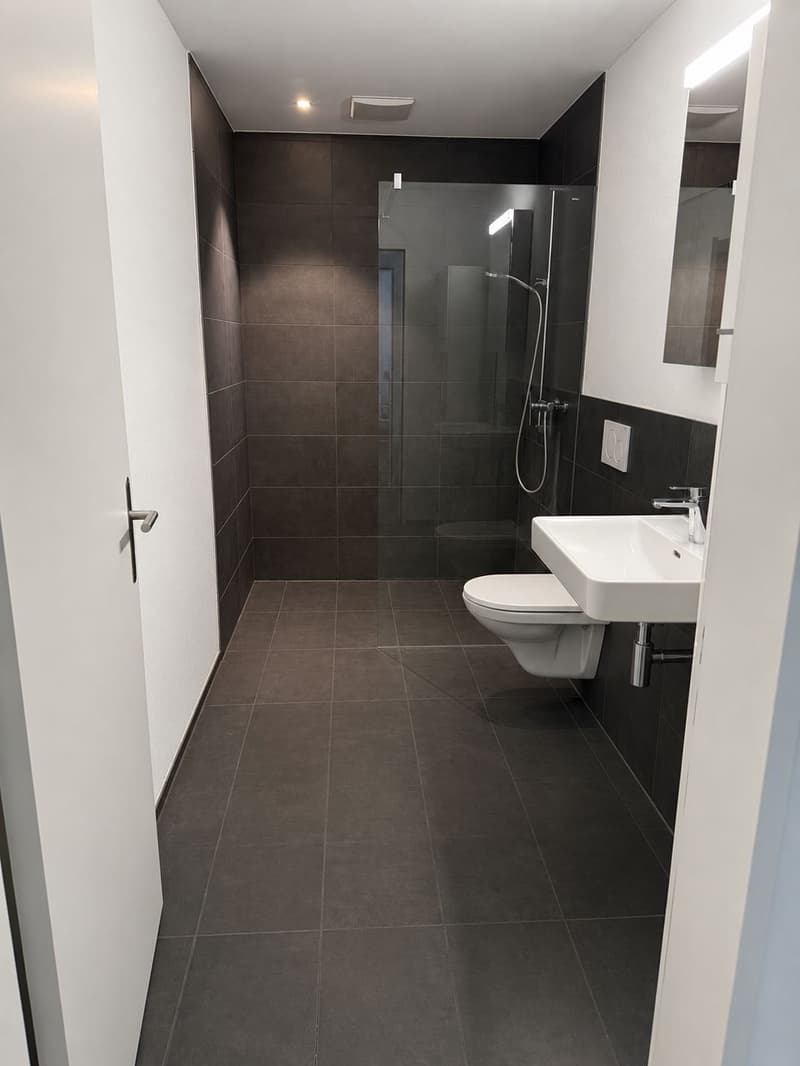 Moderne 4.5-Zimmer-Wohnung im EG Neubau in Roggwil BE (5)