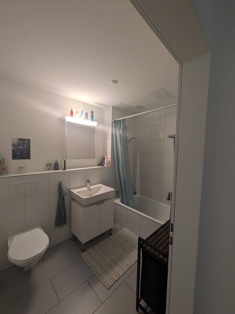 2.5 Zimmer Wohnung in Lenzburg zu vermieten (4)