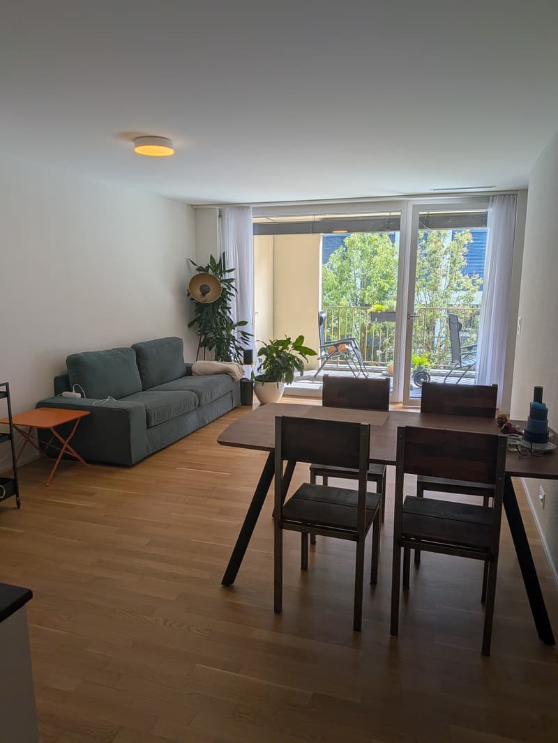 2.5 Zimmer Wohnung in Lenzburg zu vermieten (1)