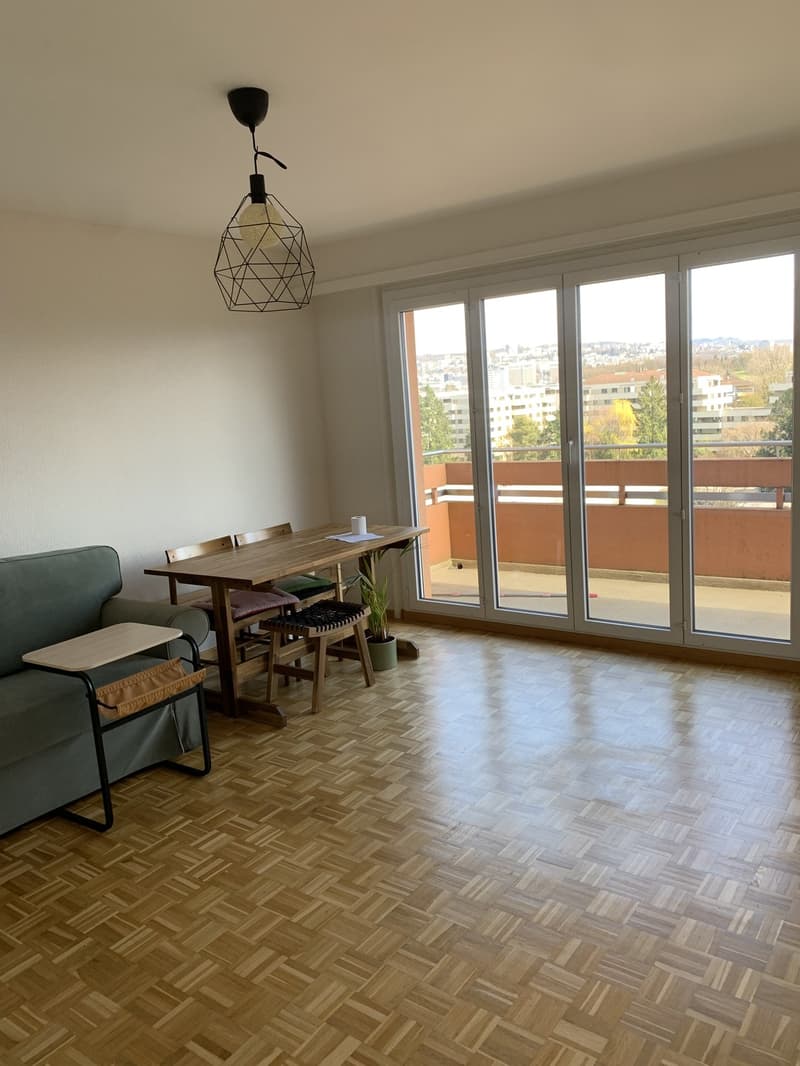 Beautiful well-lit flat close to UNIL and EPFL from Nov 15 -- search for female/couple roommate (up to 1 year sublet of single room) (4)
