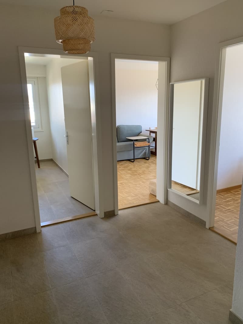 Beautiful well-lit flat close to UNIL and EPFL from Nov 15 -- search for female/couple roommate (up to 1 year sublet of single room) (5)