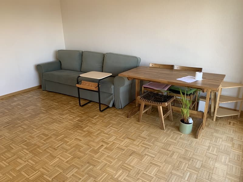 Beautiful well-lit flat close to UNIL and EPFL from Nov 15 -- search for female/couple roommate (up to 1 year sublet of single room) (6)