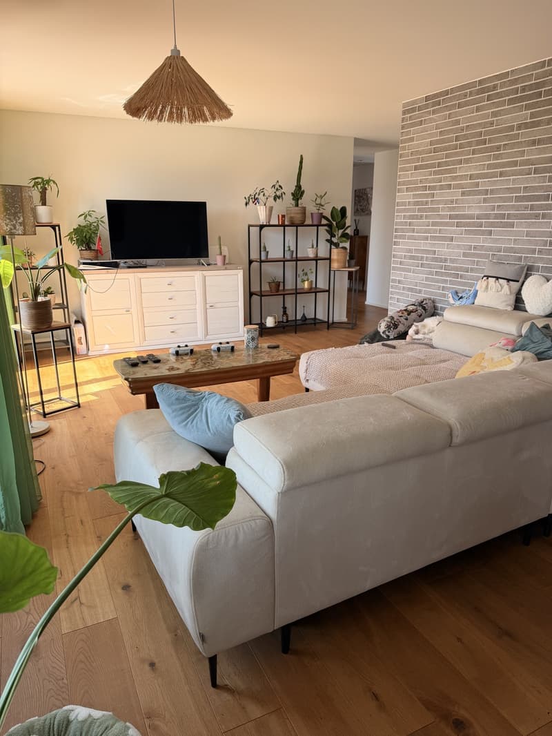 Moderne 3.5 Zimmer Neubau Wohnung in Nebikon (1)