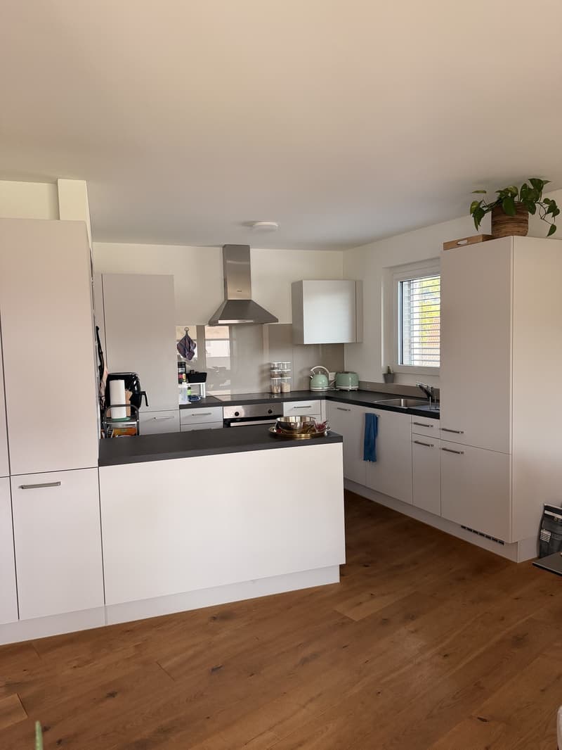 Moderne 3.5 Zimmer Neubau Wohnung in Nebikon (3)