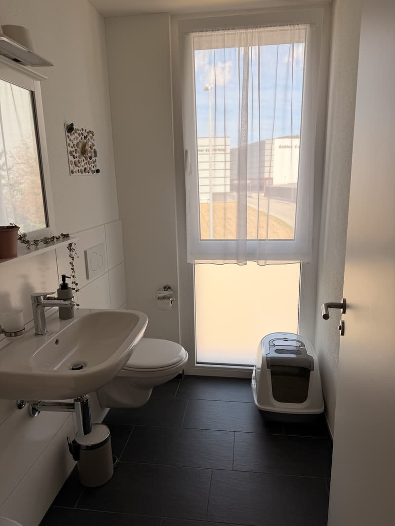 Moderne 3.5 Zimmer Neubau Wohnung in Nebikon (7)