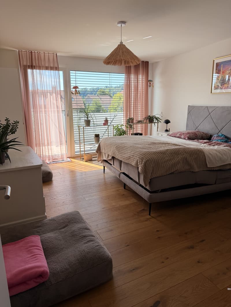 Moderne 3.5 Zimmer Neubau Wohnung in Nebikon (6)