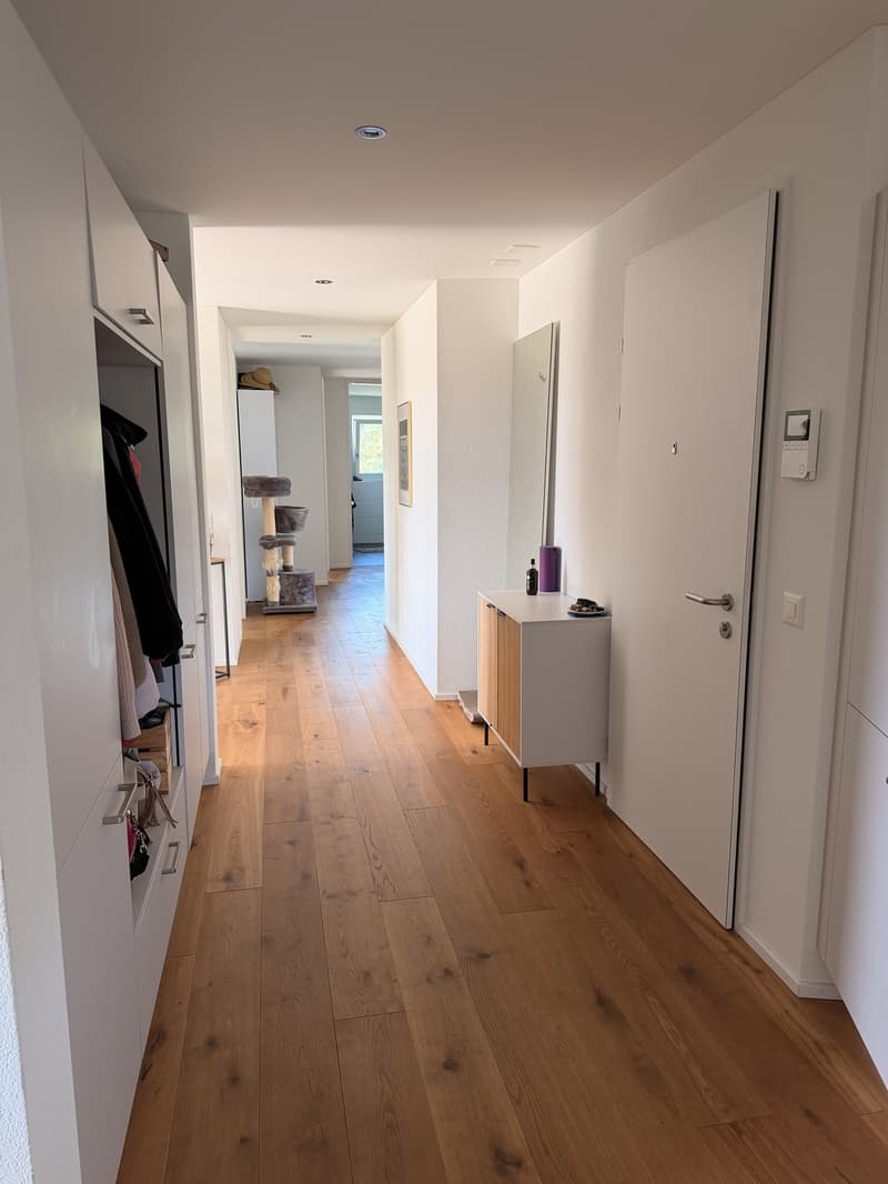 Moderne 3.5 Zimmer Neubau Wohnung in Nebikon (4)