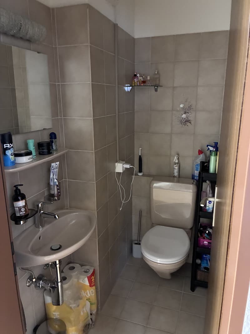 4.5-Zimmer Wohnung (5)