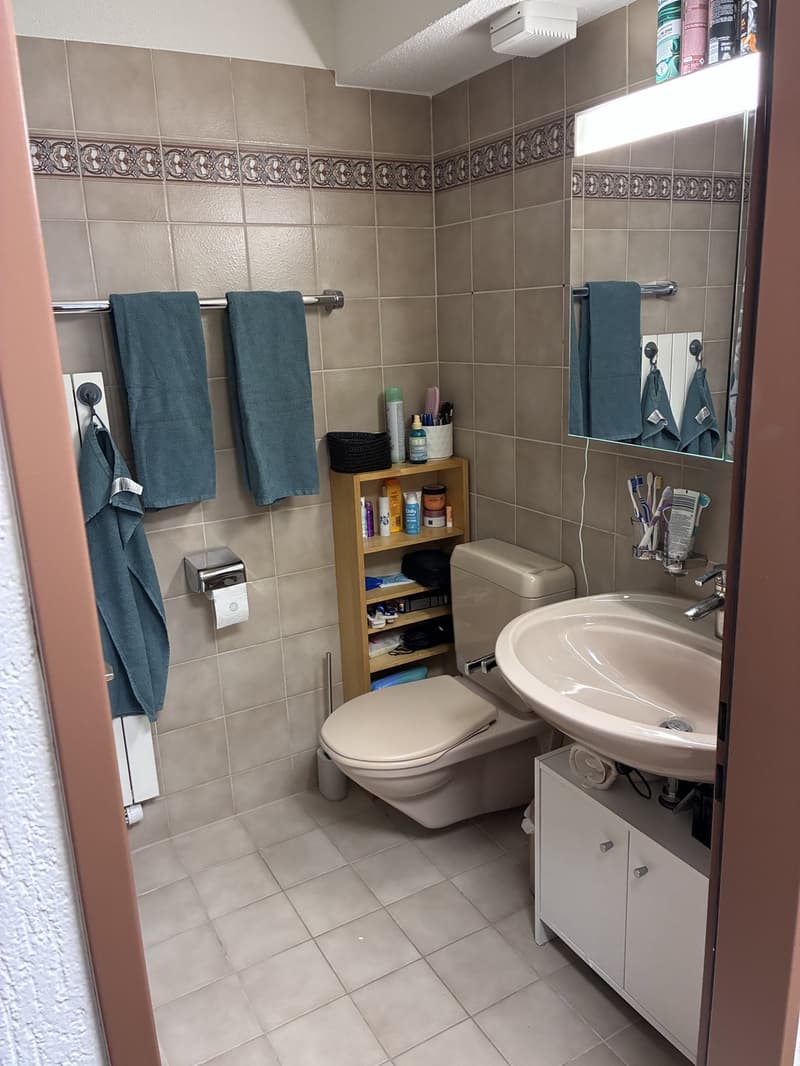 4.5-Zimmer Wohnung (2)