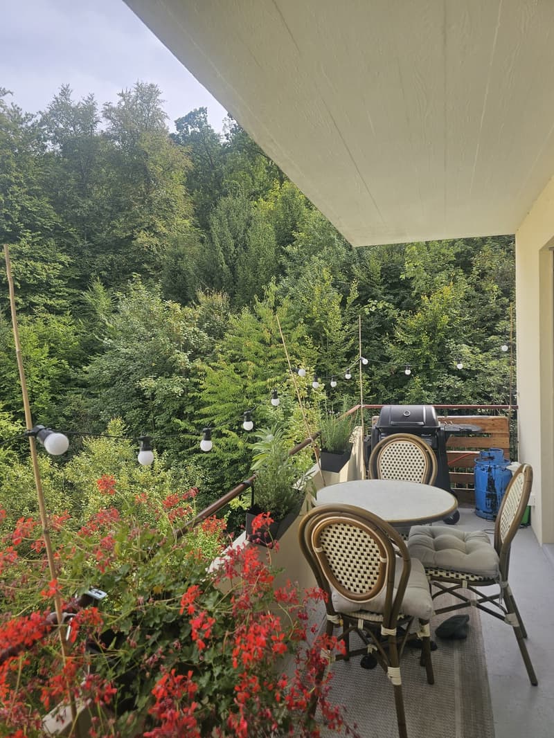 Room in a shared flat, 6005 Luzern (4)