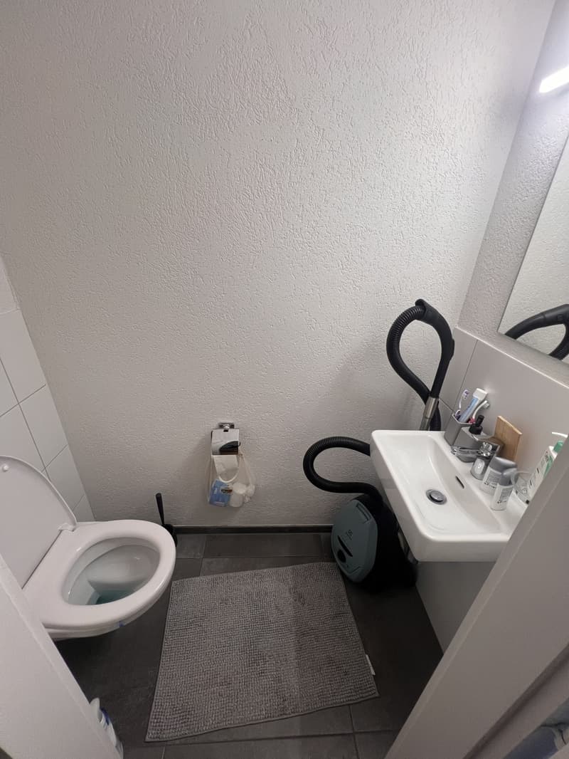 Bright 2.5Room Attic Flat in 3012 Länggasse Available November 2026 (6)