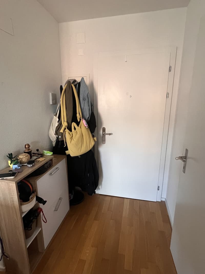 Bright 2.5Room Attic Flat in 3012 Länggasse Available November 2026 (5)