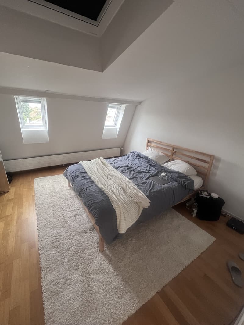 Bright 2.5Room Attic Flat in 3012 Länggasse Available November 2026 (10)