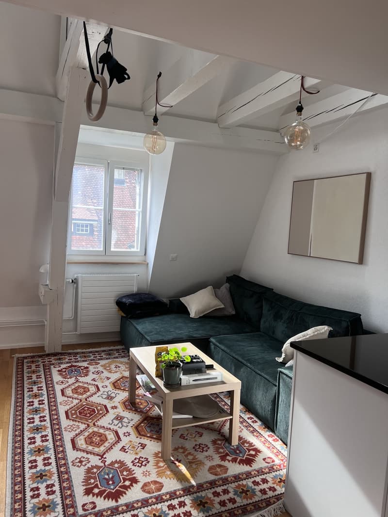 Bright 2.5Room Attic Flat in 3012 Länggasse Available November 2026 (1)