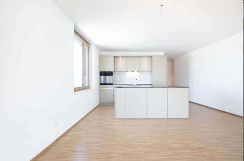 WG in Kriens sucht Mitbewohnerin (2)