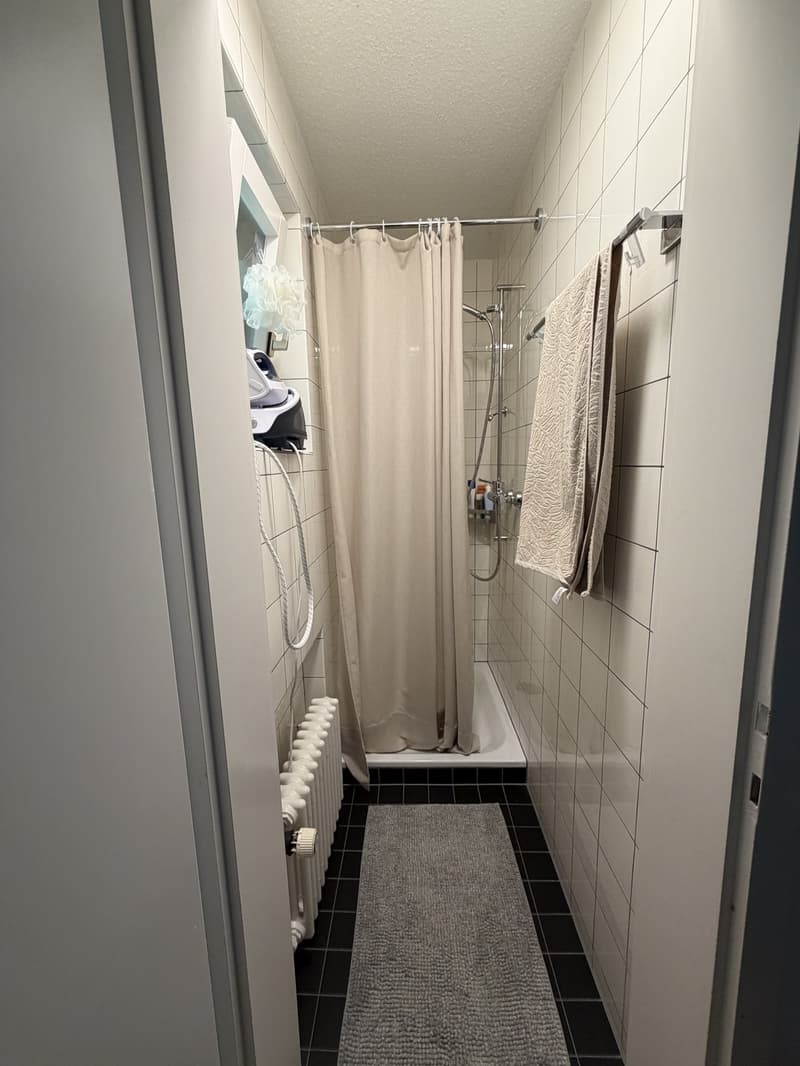 Beautiful & Spacious 4.5-Room Apartment in Adliswil Available for Takeover (11)