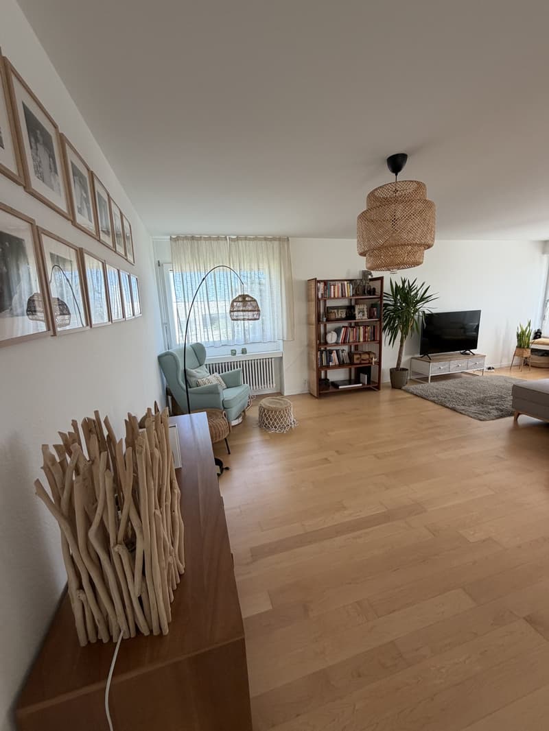 Beautiful & Spacious 4.5-Room Apartment in Adliswil Available for Takeover (2)