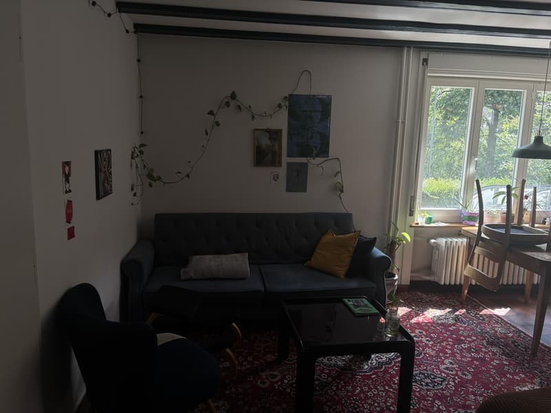 Möbliertes WG Zimmer (befristet bis Mai) zu vermieten (3)