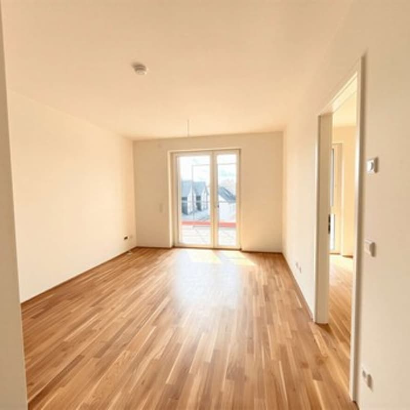 WG Zimmer zu vermieten in Neubauwohnung (3)