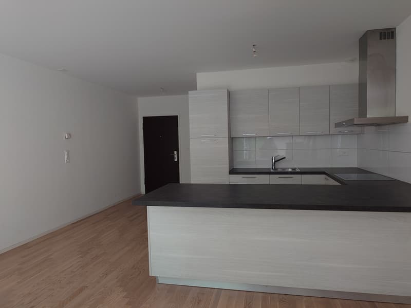 Studio Apartment - Route de Berne 111 (2)