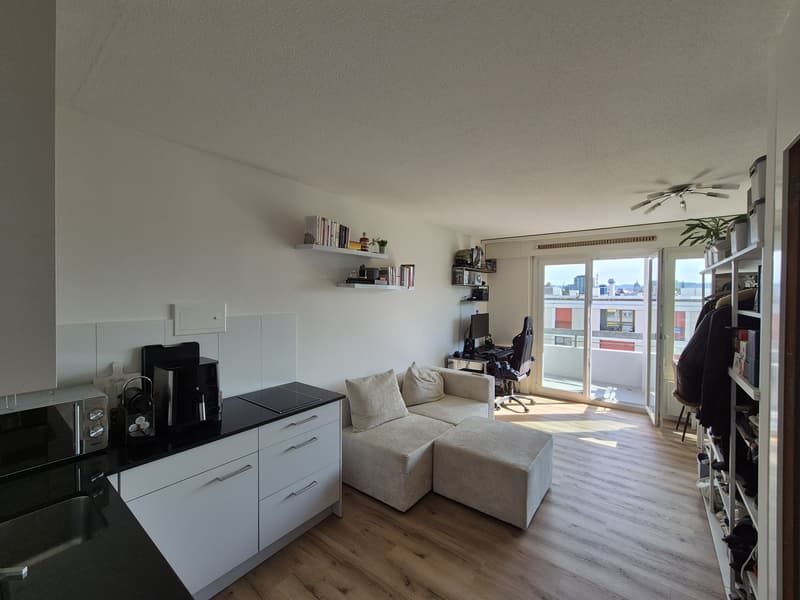 1-Zimmerwohnung mit zentraler Lage in Bern (1)