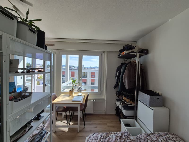 1-Zimmerwohnung mit zentraler Lage in Bern (3)