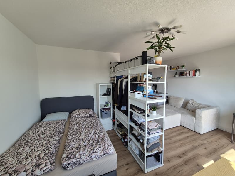 1-Zimmerwohnung mit zentraler Lage in Bern (4)