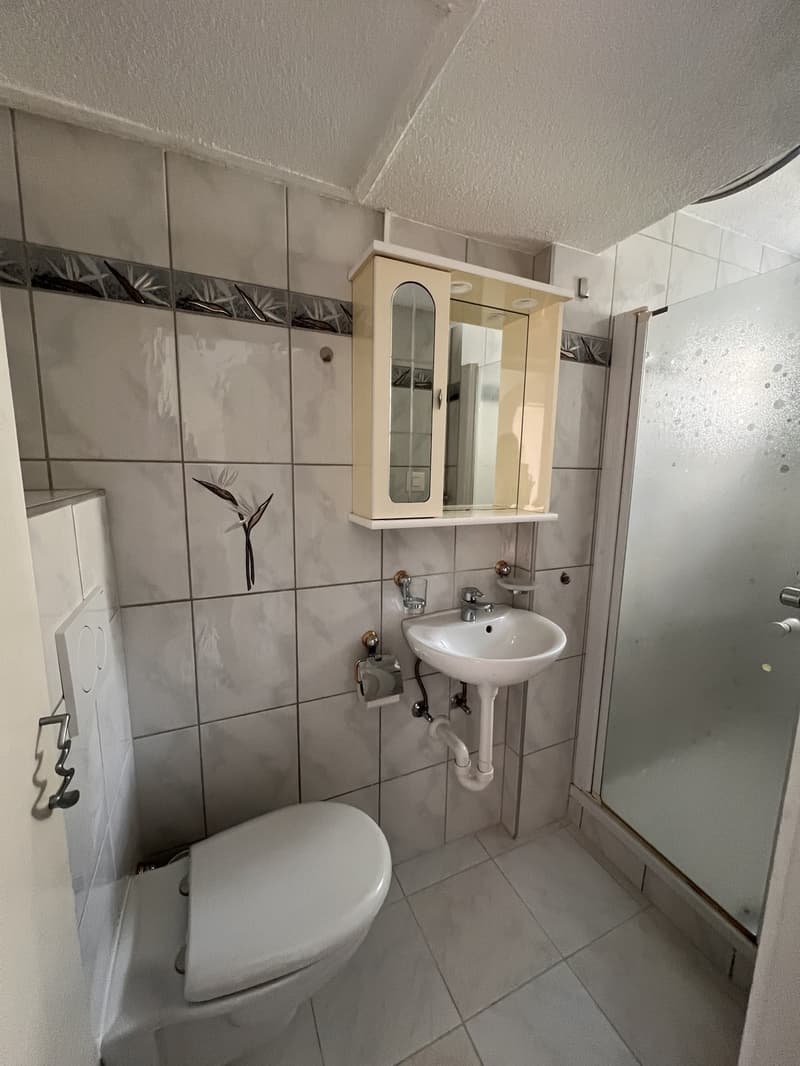 3-Zimmer-Wohnung mit Blick auf den Rhein inkl. Parkplatz und Nebenkosten (5)