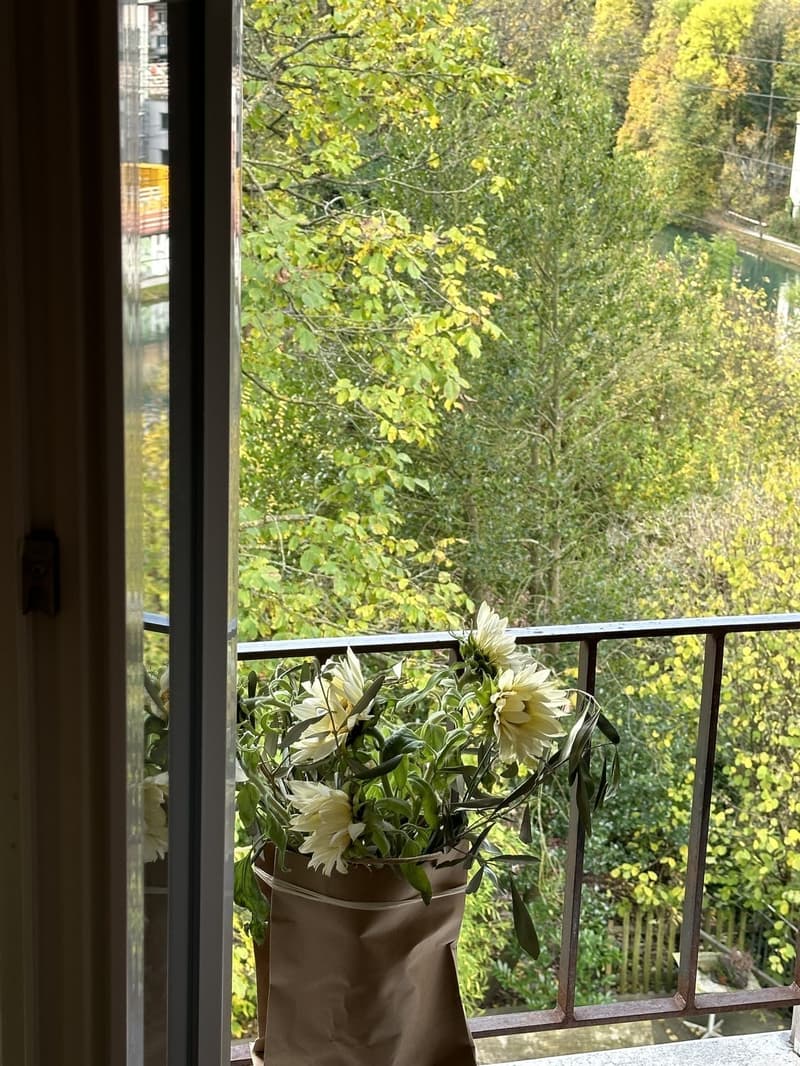 Schöne 2,5-Zimmer-Dachwohnung in der Lorraine möbliert und temporär (10)