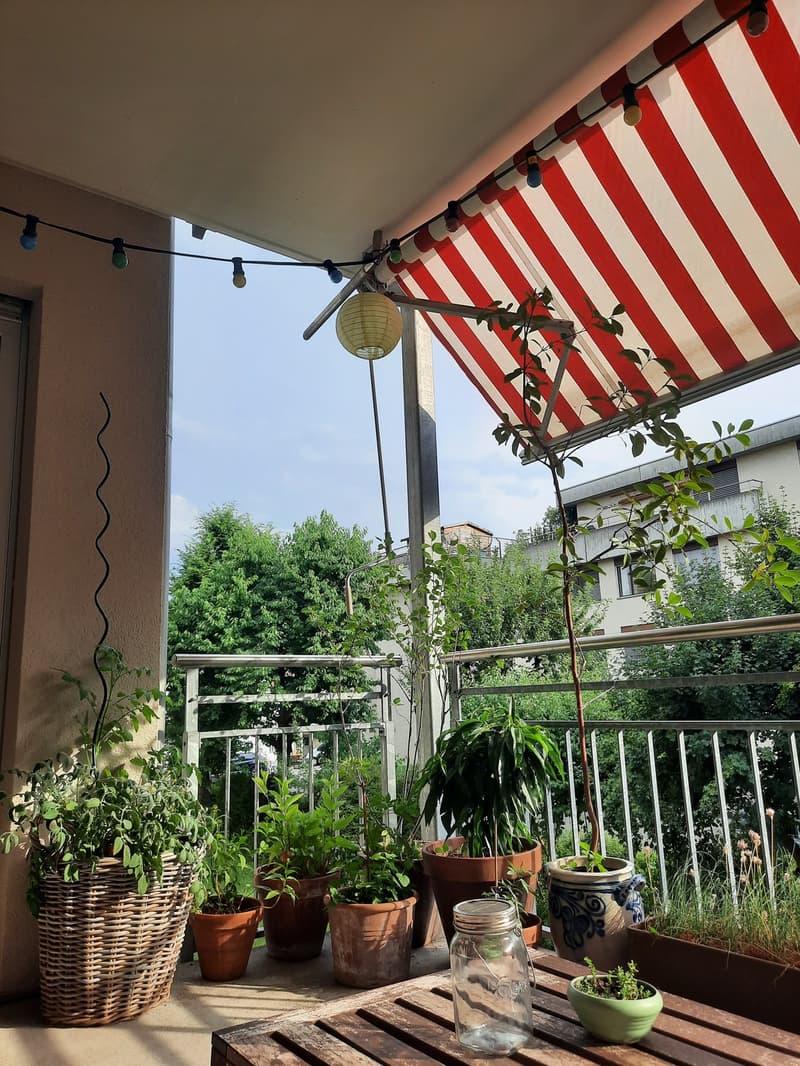 Zimmer in gemütlicher 4er WG befristet zu vermieten (6)