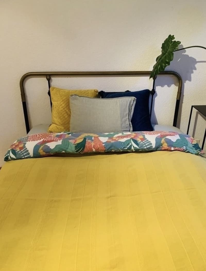 Temporary 3/4/6 Months (Nov-Apr) Furnished Room  Super Central, 2 Min from Main Train Station (2)