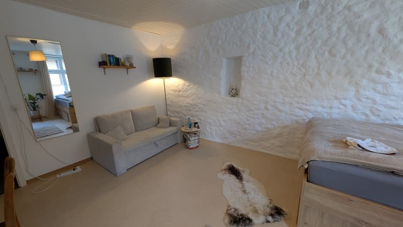 Nachmieter/In per 15.10 gesucht (3)