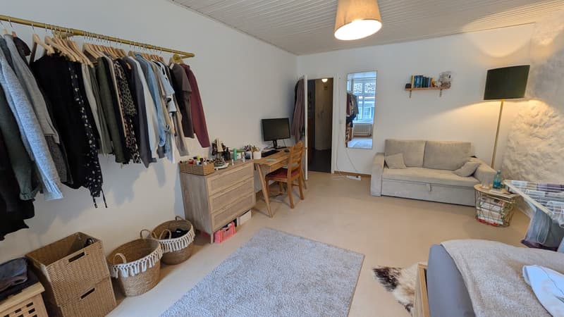 Nachmieter/In per 15.10 gesucht (2)
