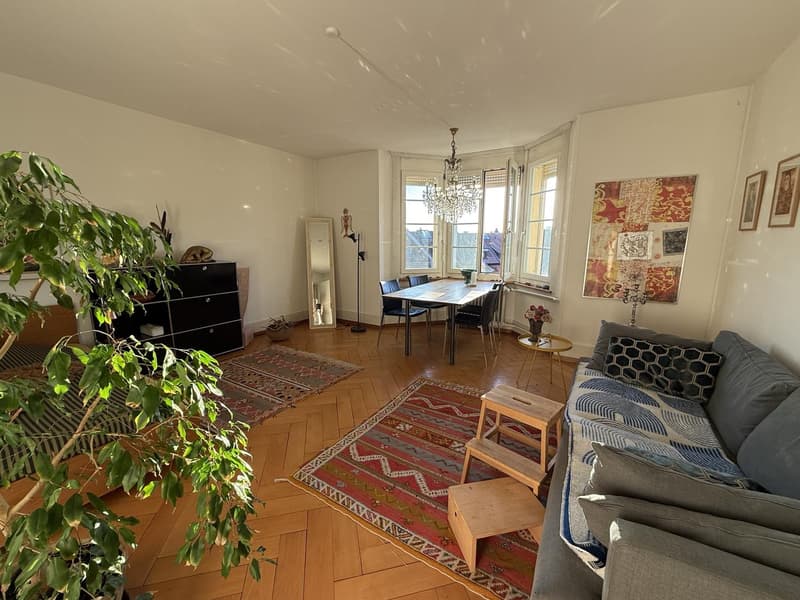 Grosses 25 m² Zimmer im Breitsch ruhig, zentral und nahe der Aare (1)