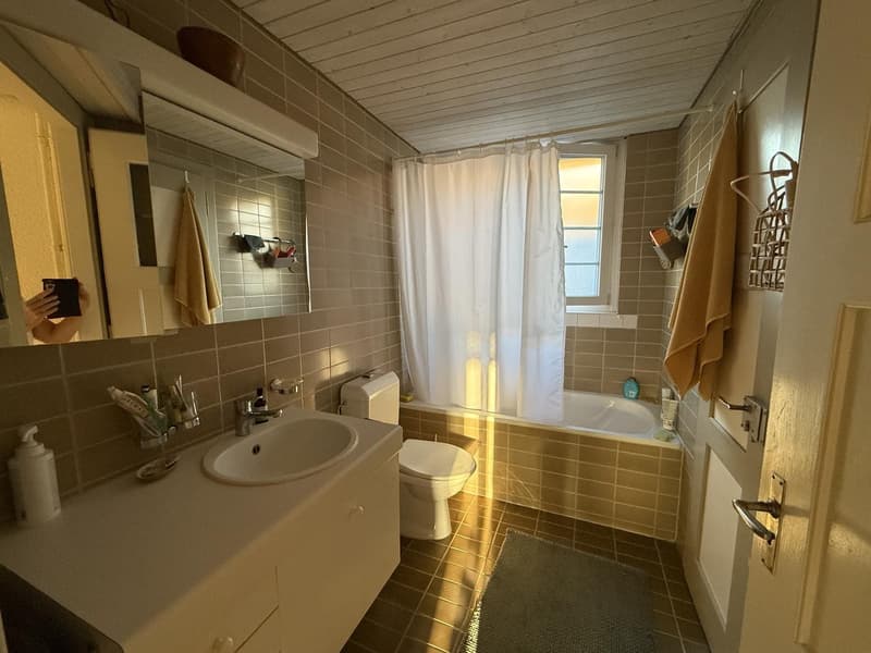 Grosses 25 m² Zimmer im Breitsch ruhig, zentral und nahe der Aare (3)