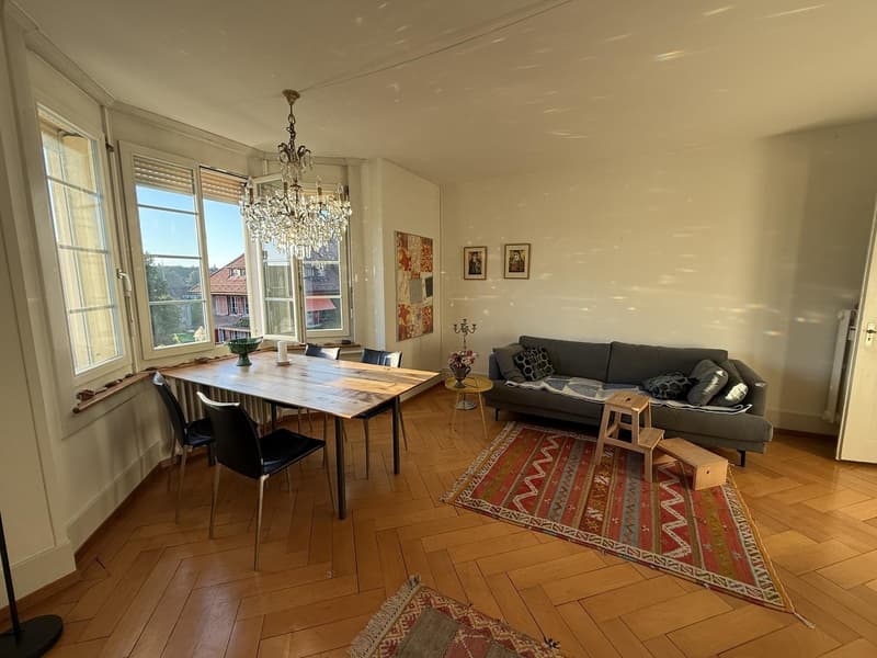 Grosses 25 m² Zimmer im Breitsch ruhig, zentral und nahe der Aare (6)