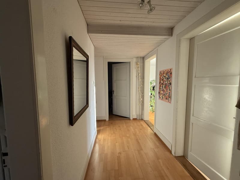 Grosses 25 m² Zimmer im Breitsch ruhig, zentral und nahe der Aare (4)