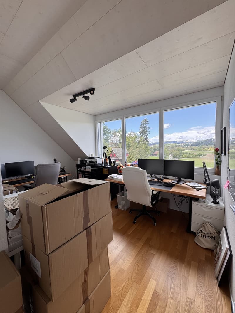 4.5-Zimmer-Dachwohnung in Niederuzwil modern, sonnig und familienfreundlich (8)