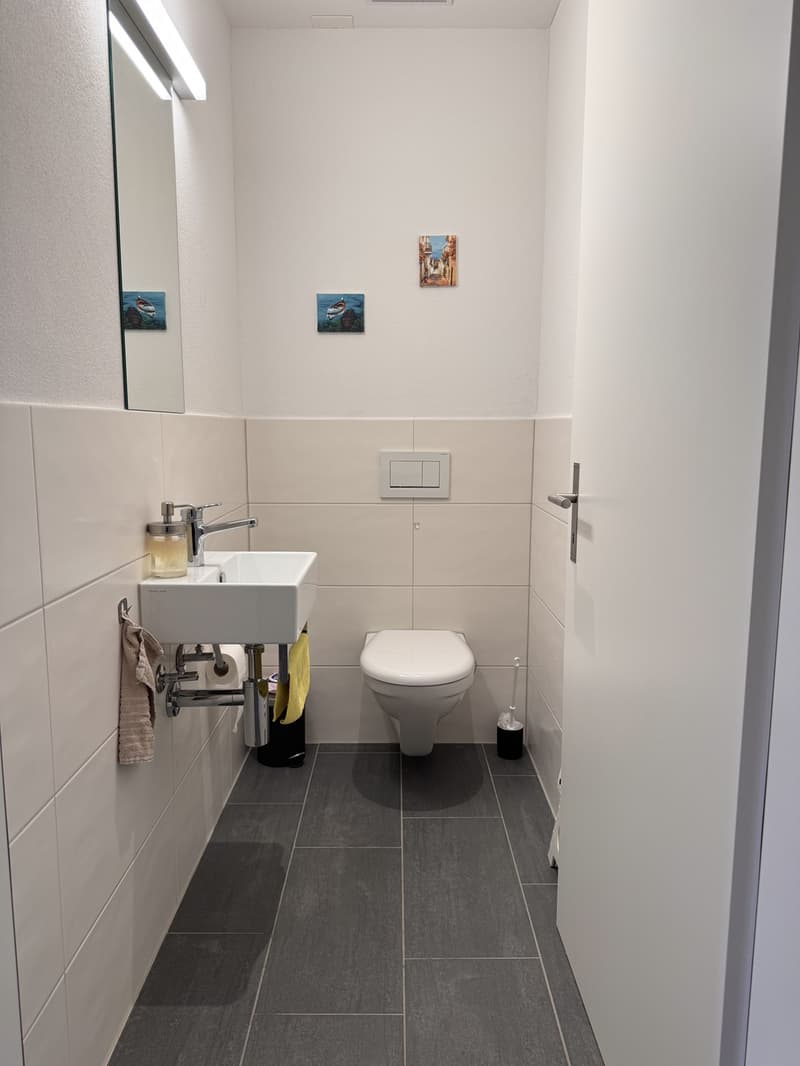 4.5-Zimmer-Dachwohnung in Niederuzwil modern, sonnig und familienfreundlich (10)