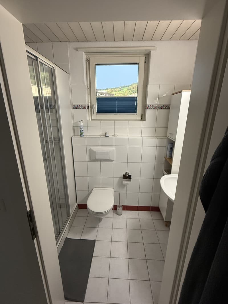 Helle 2.5-Zimmer-Dachwohnung in Root mit grossem Balkon Wohnen zum Wohlfühlen (6)