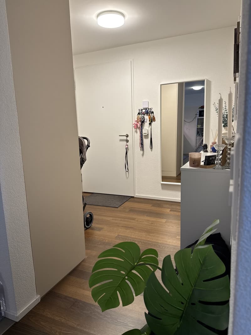 3.5 Zimmerwohnung in Regensdorf (Neubau Dezember 2023) (6)